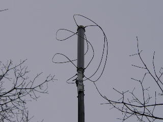 WX-137Q